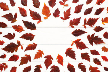 Wall Mural - Autumnal frame for your idea. In autumn fallen dry twigs with leaves of yellow, red, orange, aligned on the perimeter of the frame on an old wooden board of a soft white place for your text