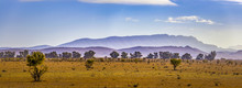 Landscape Panorama Of Flinders Ranges Mountain Ridge In South Australia