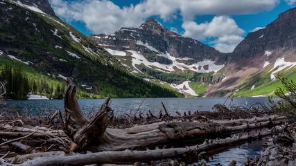 Poster - TL Glacier - Two Medicine Logs and Pond at Upper Two Medicine Lake