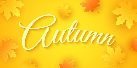 Wall Mural - Autumn background. Seasonal banner. Invitation greeting card. Calligraphy and lettering. Orange maple leaves. Drop leaves. Festive cover. Vector illustration