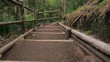 Treppe entlang eines Dschungelpfades in Kolumbien