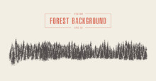 Pine Forest Background, Vector Drawn, Sketch