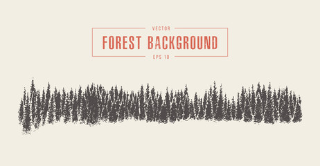 Pine forest background, vector drawn, sketch