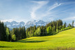 Landschaft mit Wiese und Wilder Kaiser Gebirge im Hintergrund