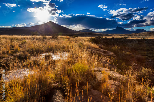 Cuadros en Lienzo The afternoon sun lights up the winter grass in the Karoo near Nieu Bethesda, South Africa