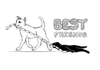 cat and dog cartoon characters. best friends forever, vector illustration. friendship funny sketch.