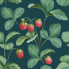 Wall Mural - Watercolor illustration of strawberry bush. Seamless pattern