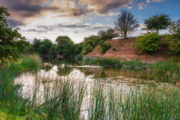 Wall Mural - littlemill quarry nature reserve pond / the nature reserve is a disused limestone quarry at littlemi