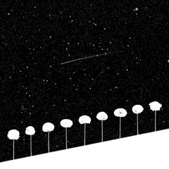 Sticker - Landscape with trees at night. Vector illustration with isolated silhouettes of maples growing on hill under starry sky. Inverted black and white