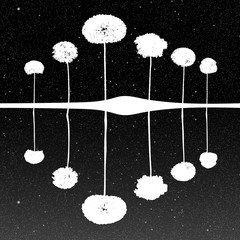 Canvas Print - Landscape with trees at night. Vector illustration with isolated silhouettes of maples reflected in water under starry sky. Inverted black and white