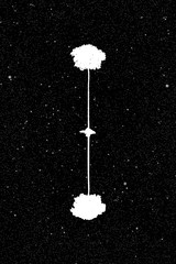 Sticker - Landscape with lonely tree at night. Vector illustration with isolated silhouette of maple reflected in water under starry sky. Inverted black and white.