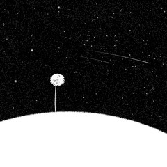 Sticker - Landscape with lonely tree at night. Vector illustration with isolated silhouette of maple growing on hill under starry sky. Inverted black and white