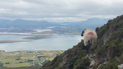 Wall Mural - View from Croagh Patrick mountain in Co. Mayo, Westport, West coast of Ireland, Atlantic ocean. Amazing scenic sea and mountain landscape with islands in cloudy day.