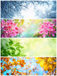Four seasons. A pictures that shows four different pictures representing the four seasons: winter, spring, summer and autumn.