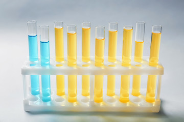 Test tubes with color liquids on light background