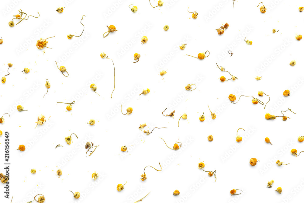 Dried chamomile flowers on white background