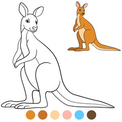 Wall Mural - Color me: kangaroo. Cute beautiful kangaroo smiles.