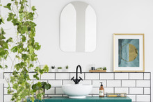 Mirror And Poster In White Bathroom Interior With Washbasin And Plant. Real Photo