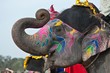 Elefantenparade in Jaipur