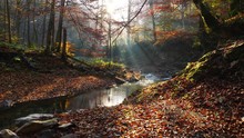 The River In Autumn Forest And The Sun Shining Through The Foliage.