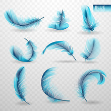 Set Of Isolated Falling Blue Fluffy Twirled Feathers On Transparent Background In Realistic Style. Vector Illustration