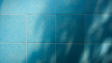 Shadow Of Branches And Leaves On Blue Decorative Ceramic Tile Wall Background