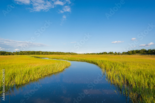Cuadros en Lienzo Wetlands in Egg Harbor Township, New Jersey