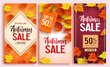 © AmazeinDesign - Autumn sale vector poster design set with colorful maple leaves element in background and sale discount text for fall season shopping promotion. Vector illustration.