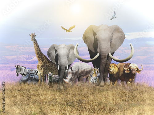 animals-of-africa-and-a-domestic-cat-leave-the-heat-wallpapers-for-walls-and-interior-3d-rendering