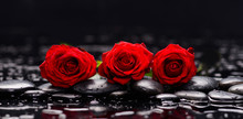 Still Life With Three Red Rose And Wet Stones