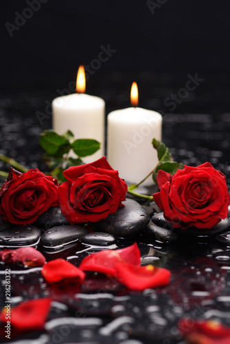 Fotografie, Obraz Still life with red rose, petals, with white candle ,green leaf and therapy ston