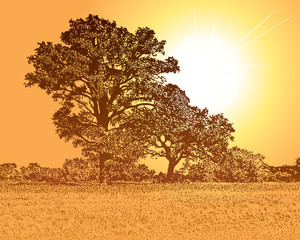 Sunny landscape with beautiful tree silhouette and bright light rays. Vector graphic illustration of a forest nature and sun.