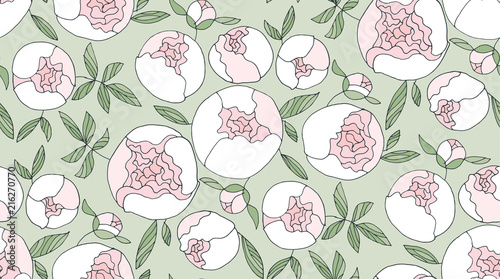 Tender line peony flower se...