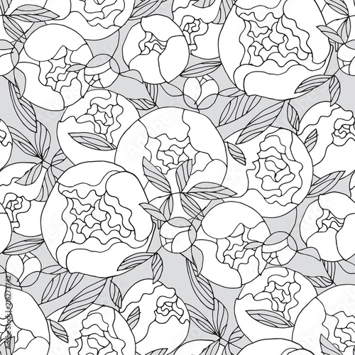 black and white peony flowe...