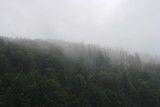 Fototapeta Na ścianę - fog. mountain. soul. forest. tree