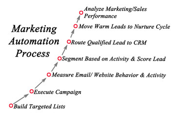 Wall Mural - Marketing Automation Process