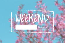 Weekend Loading Word On Wild Himalayan Cherry Blossoms In Spring Season (Prunus Cerasoides) Background