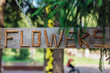 Word FLOWERS made of dry branches on the wooden sign