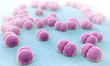 3d illustration of hundreds of meningitis pathogens called menigococcus