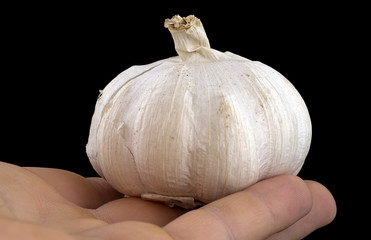 Keep garlic in hand