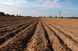 © leomalsam - Freshly plowed field