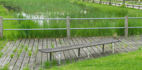  wooden bench with pond view