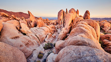 Unique Rock Formations At Joshua Tree National Park At Sunset, California, USA.