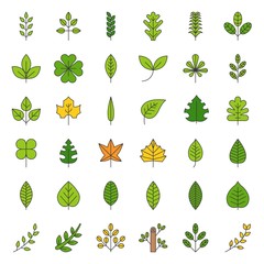 Wall Mural - Leaves and branch icon set, filled outline design