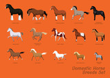 Fototapeta Konie - Domestic Horse Breeds Set Cartoon Vector Illustration