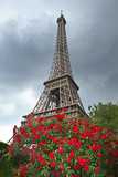 Fototapeta Paryż - symbol of Paris - the Eiffel Tower, Paris, France