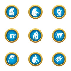 Wall Mural - Marmoset icons set. Flat set of 9 marmoset vector icons for web isolated on white background