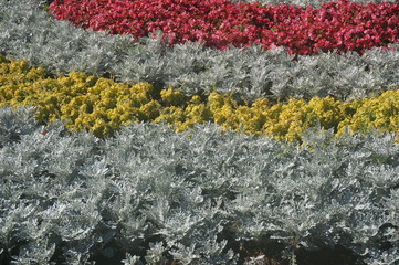 flowerbed