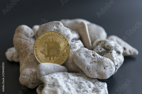 sea coin cryptocurrency sea coin cryptocurrency