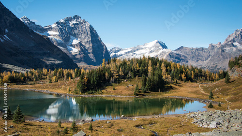 Plakat góry  jezioro-o-39-hara-jesienia-park-narodowy-yoho-kanada